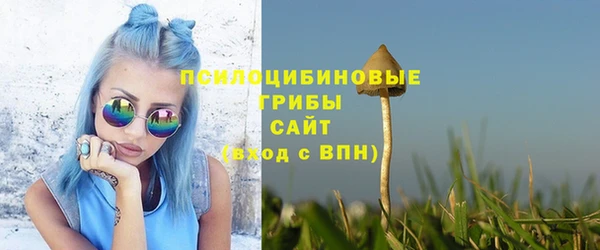 ПСИЛОЦИБИНОВЫЕ ГРИБЫ Михайловка