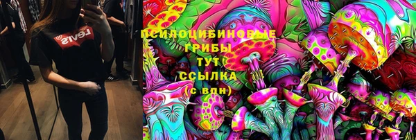 индика Горно-Алтайск